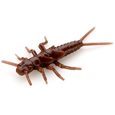 Stonefly