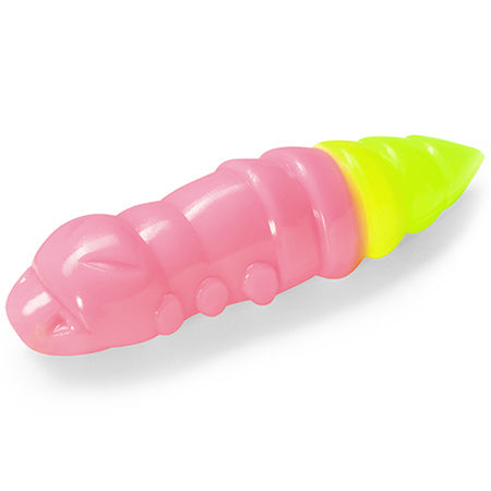 Pupa