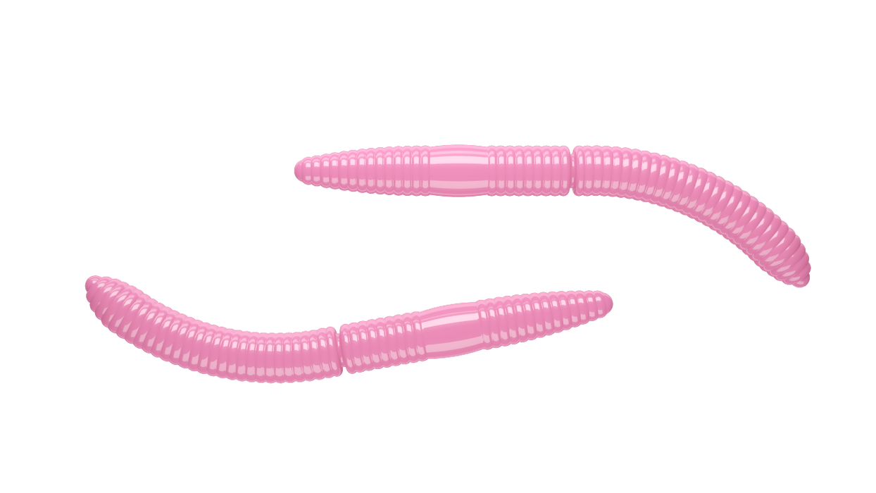Fatty D'Worm