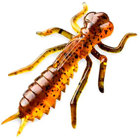 Kasari