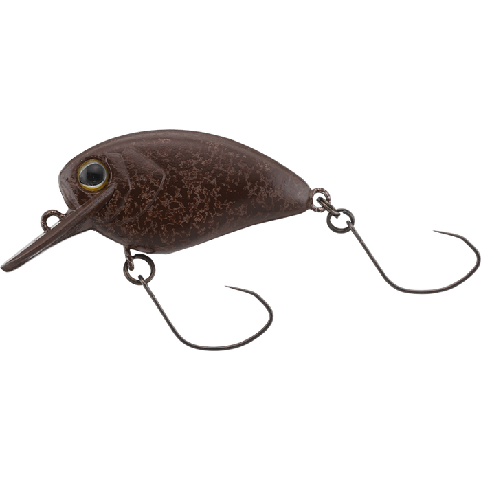 FlaPani