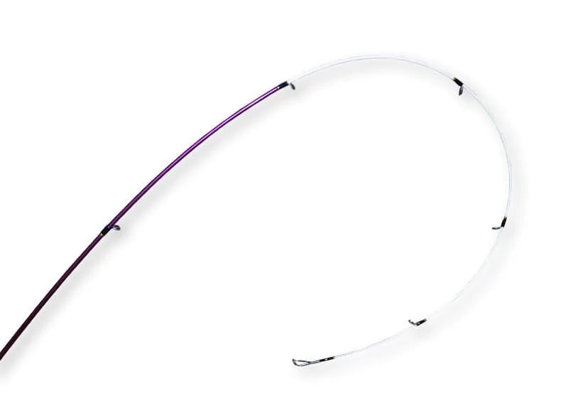 Ebisu 2 Violet