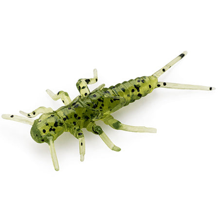 Stonefly