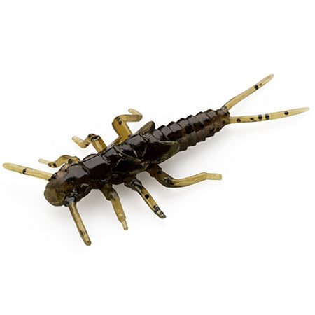 Stonefly
