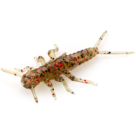 Stonefly