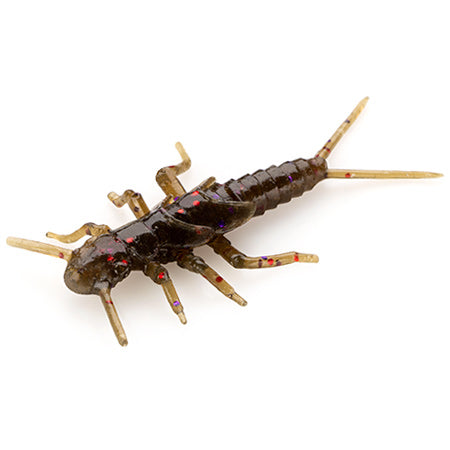 Stonefly