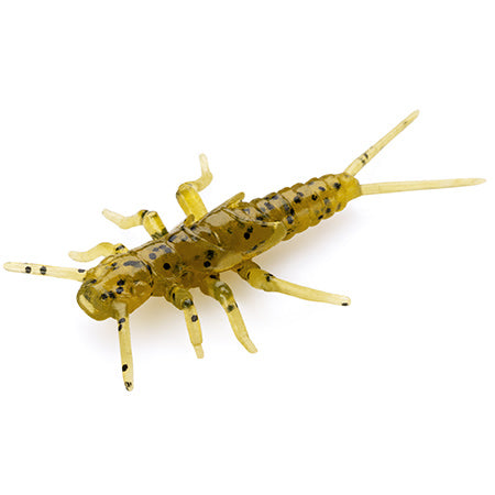 Stonefly