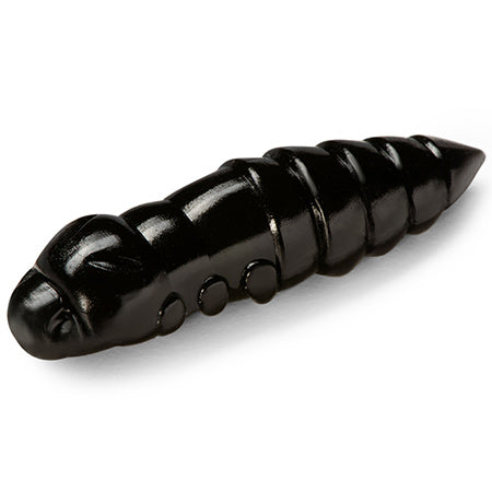 Pupa