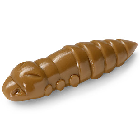 Pupa