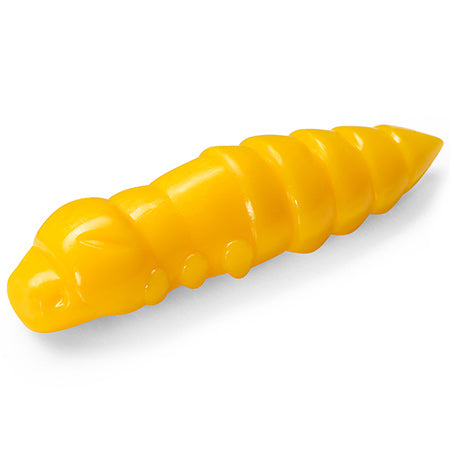 Pupa