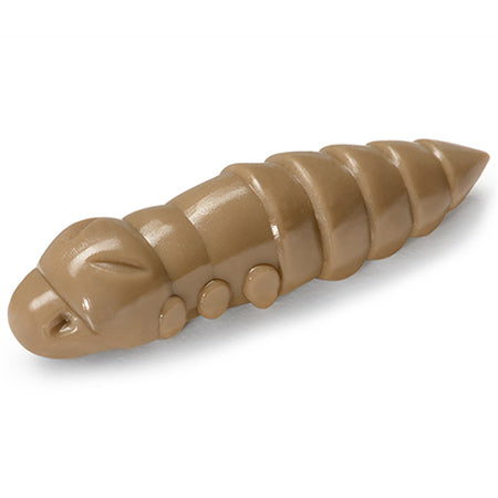 Pupa