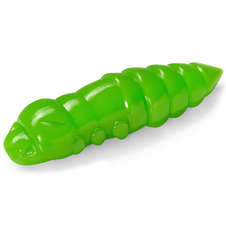 Pupa