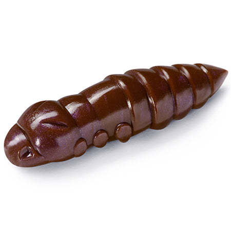 Pupa