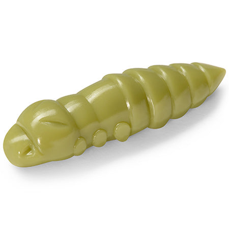 Pupa