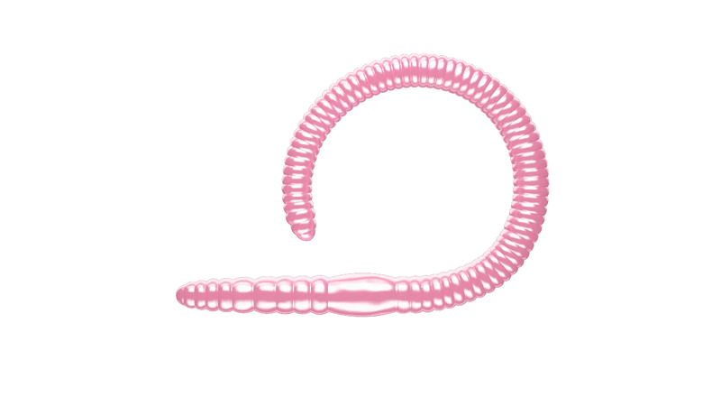 Flex Worm Cheese