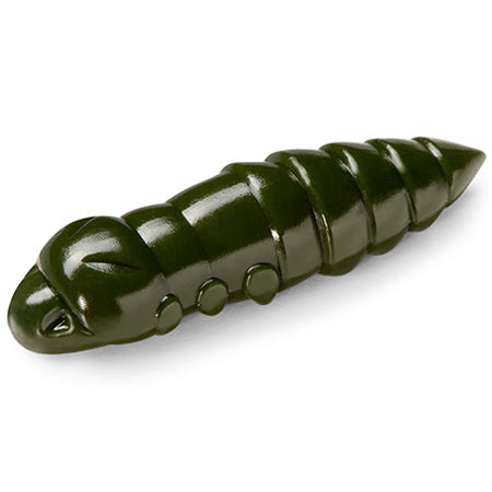 Pupa