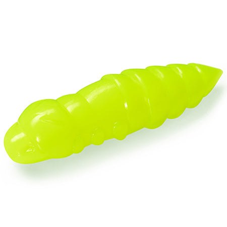 Pupa