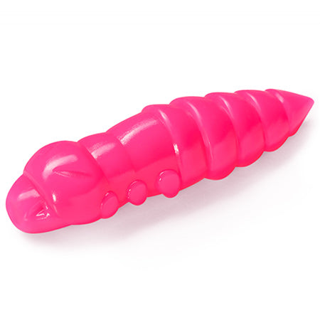Pupa