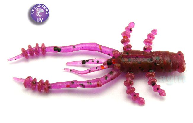 CrayFish
