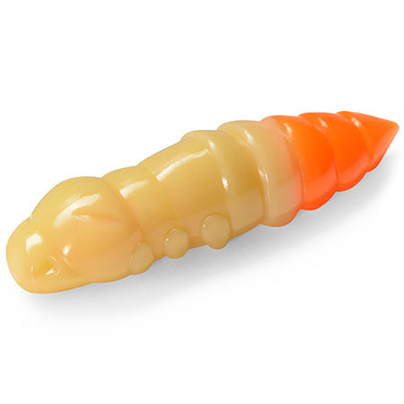Pupa