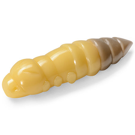 Pupa