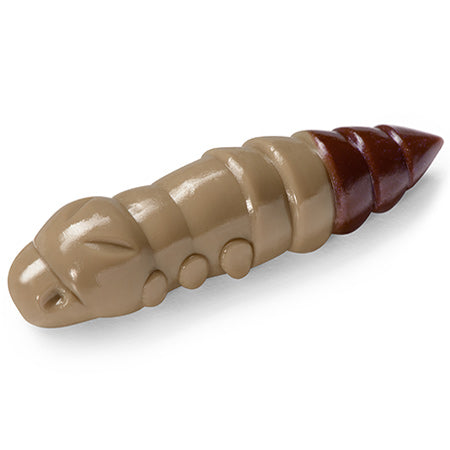 Pupa