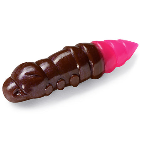 Pupa