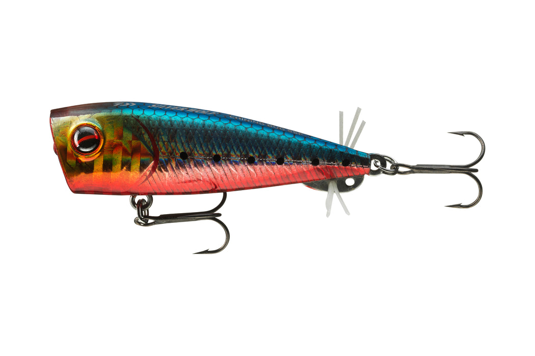 PX Chining Bug 55F