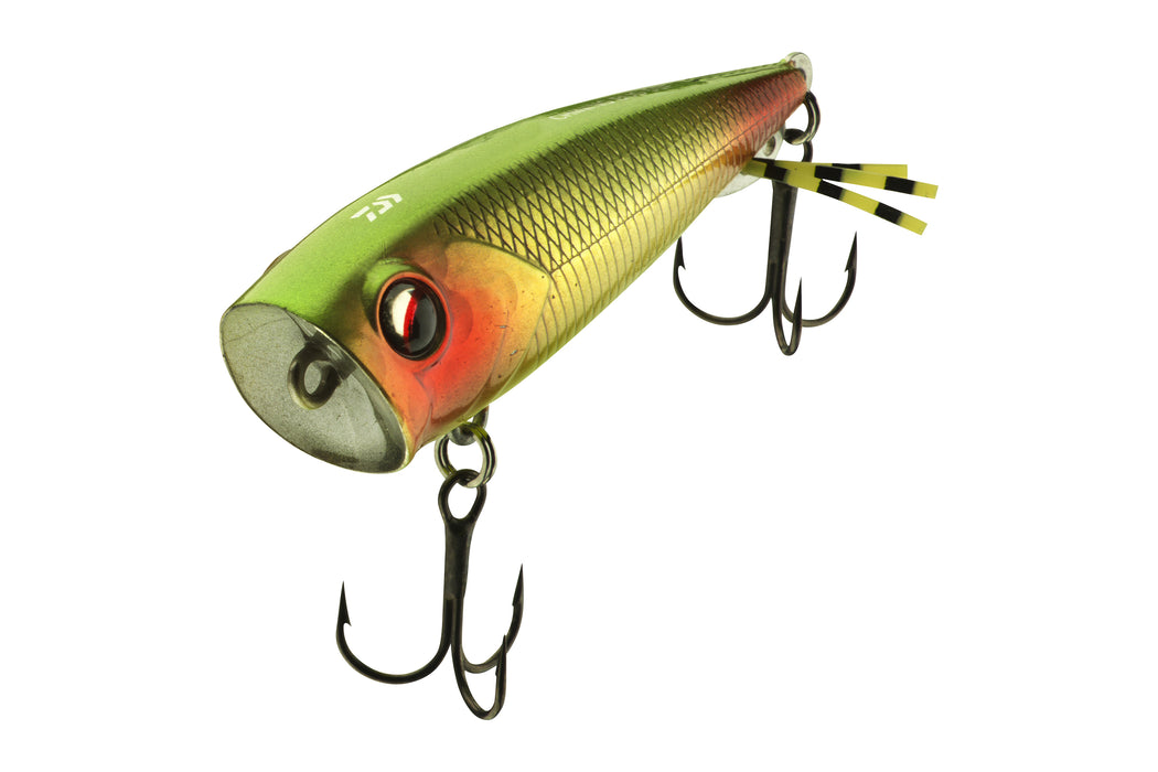 PX Chining Bug 55F
