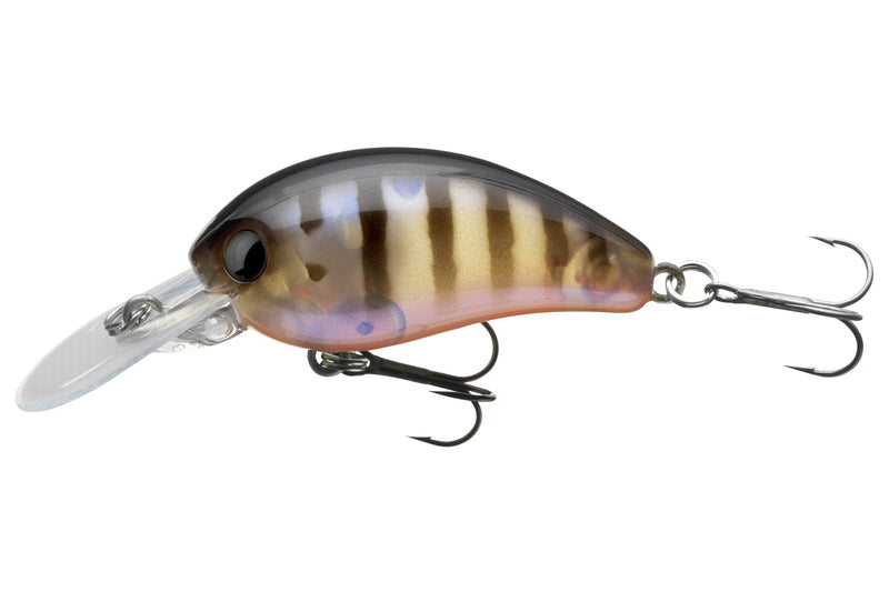 TN Baby Crank 35F-DR