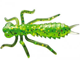 Kasari