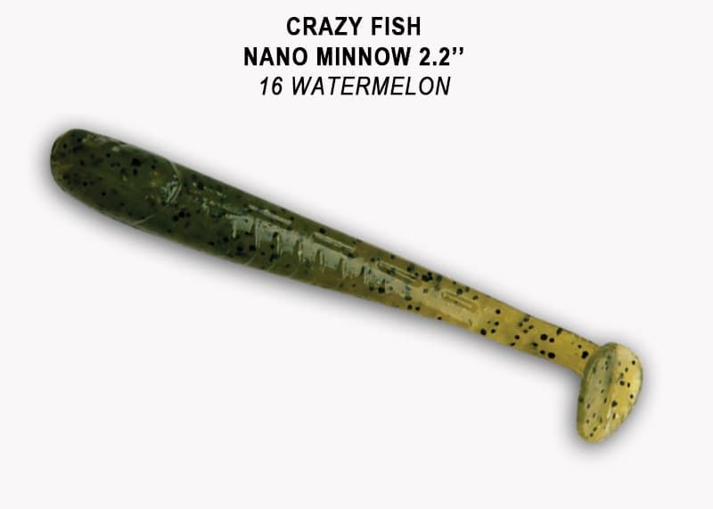 Nano Minnow