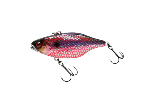 TN50 FULL TUNGSTEN 9.5 g - Ebisu