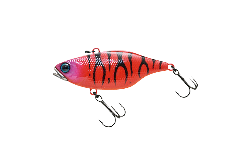 TN65 FULL TUNGSTEN - Ebisu