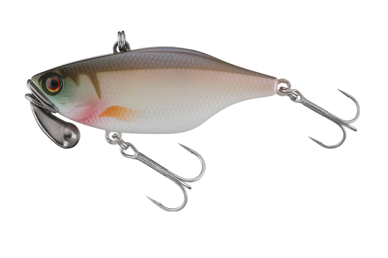 TN/60 TRIGON - Ebisu