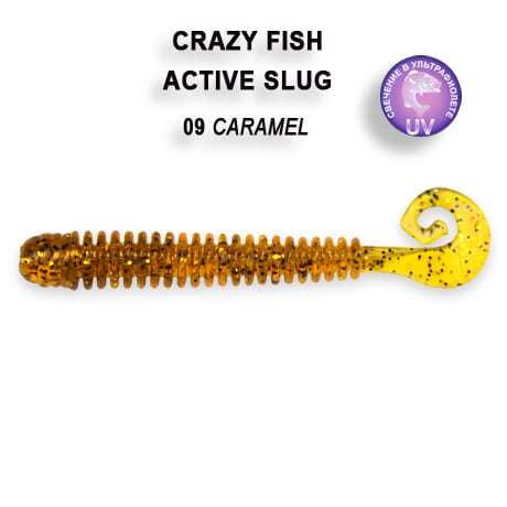 ActiveSlug