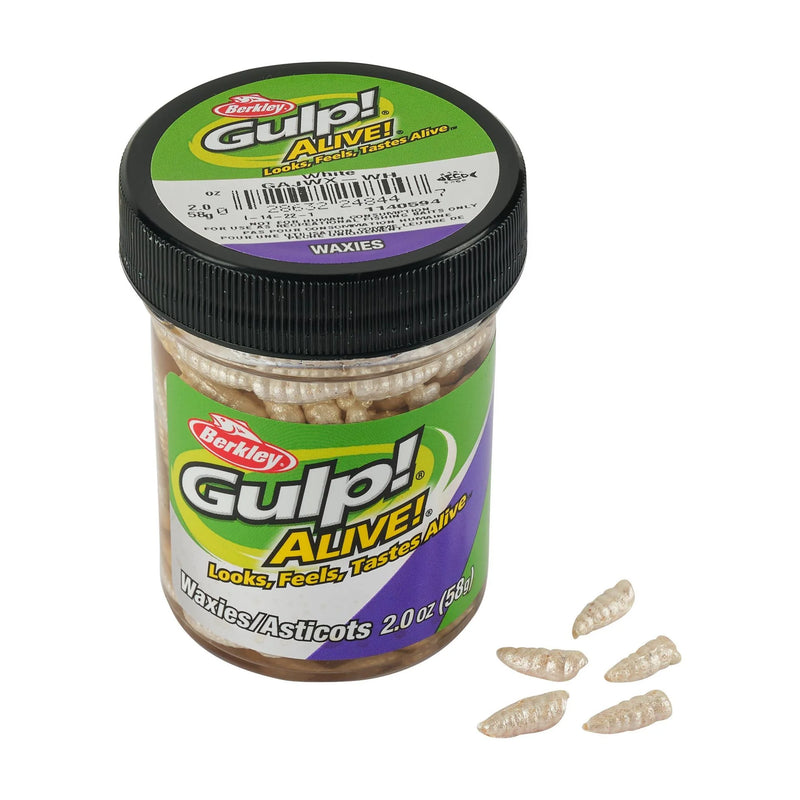 Berkley Gulp Waxies White soft lures for fishing, showing multiple white waxie-shaped bait with realistic texture and size details.