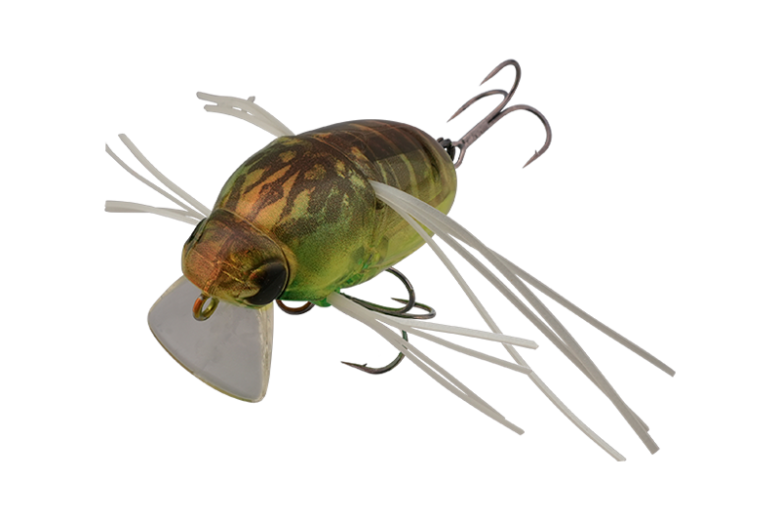 CHUBBY BUG 35