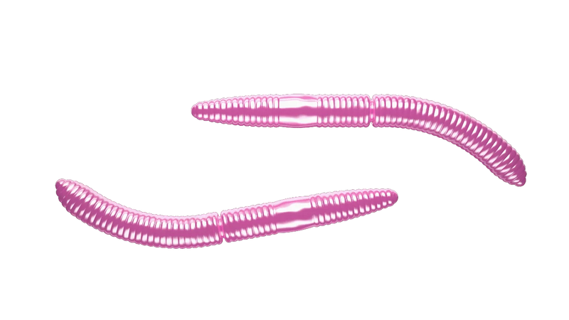 Fatty D'Worm