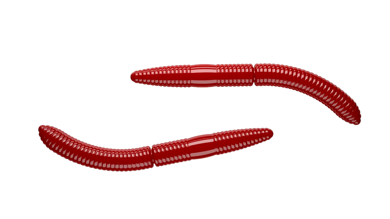 Fatty D'Worm