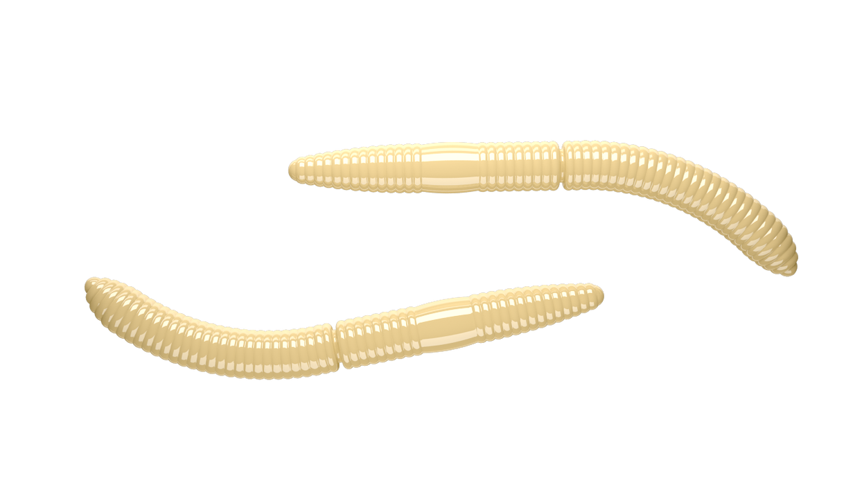 Fatty D'Worm