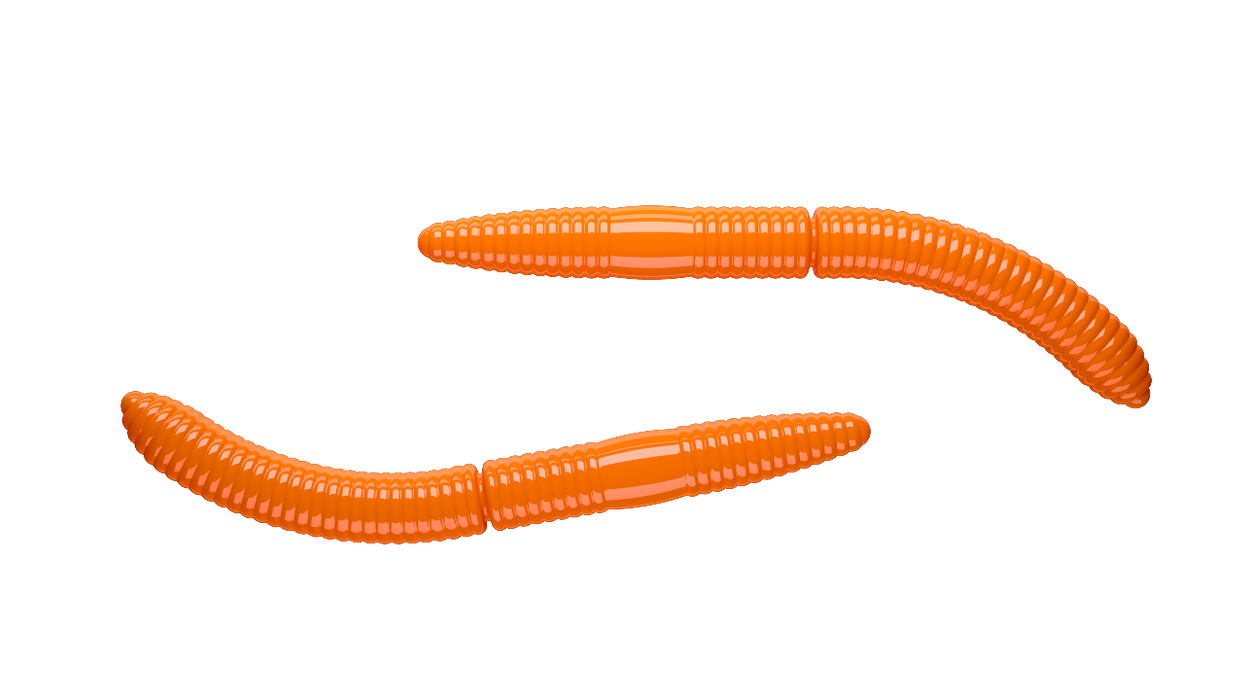 Fatty D'Worm