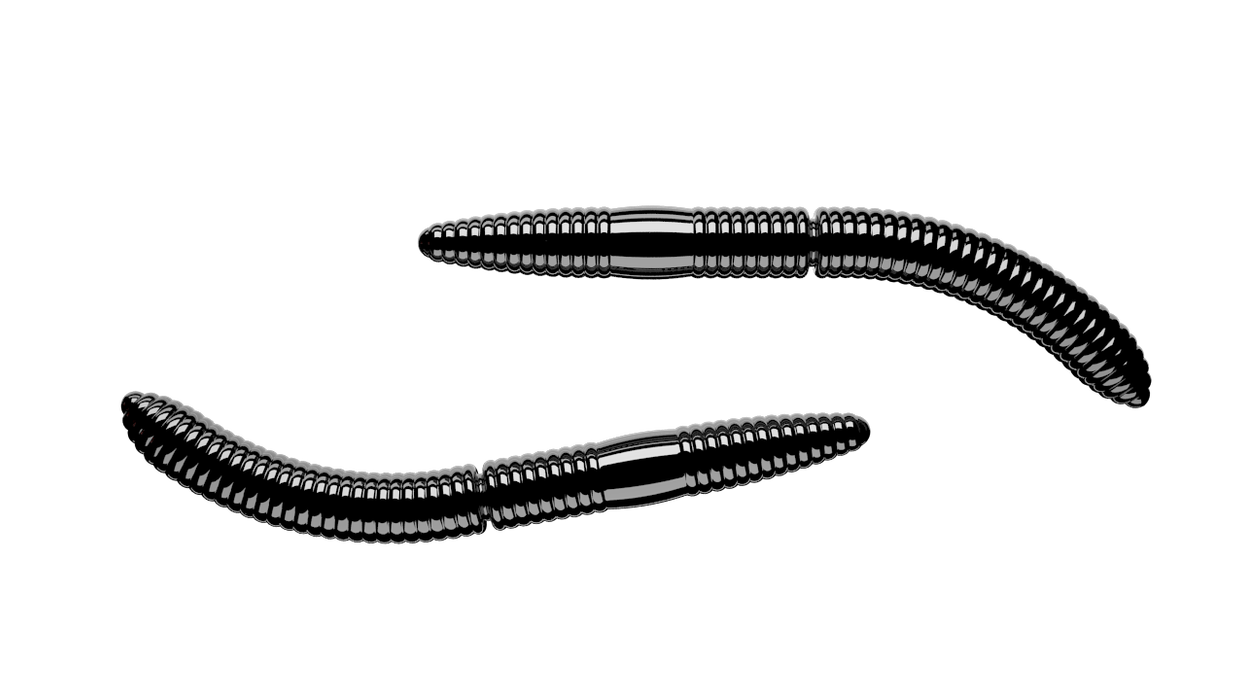 Fatty D'Worm