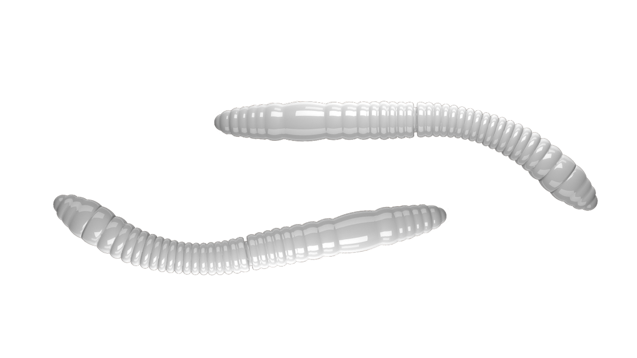 Fatty D'Worm Tournament