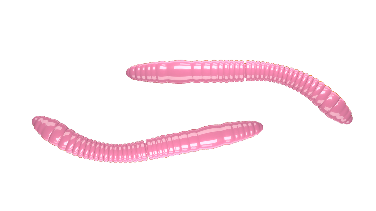 Fatty D'Worm Tournament