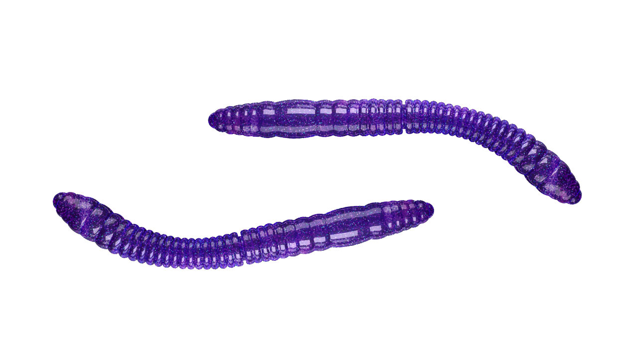 Fatty D'Worm Tournament