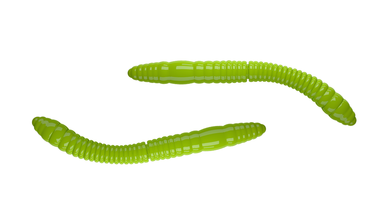 Fatty D'Worm Tournament