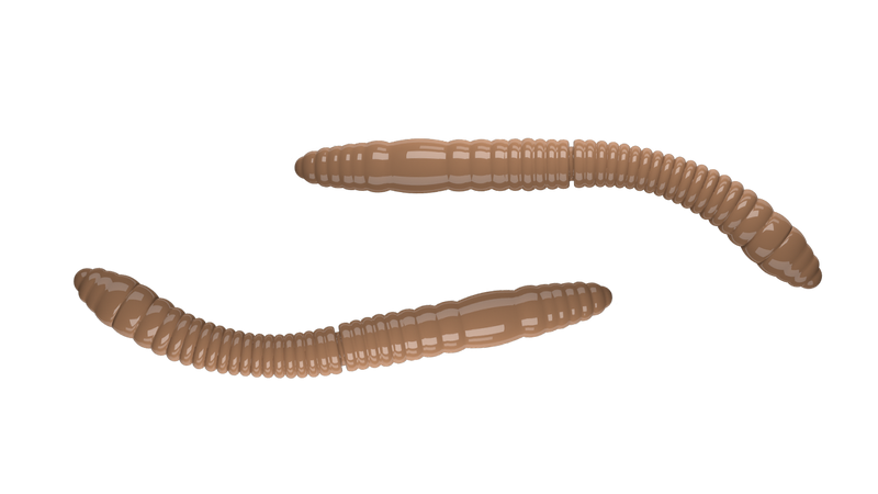 Fatty D'Worm Tournament