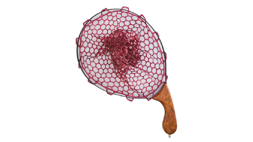 EDEN INSTANT NET (CURVE) - Ebisu