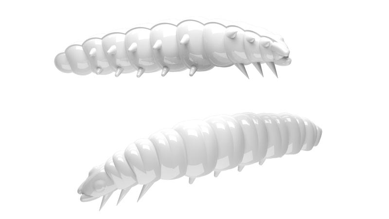 Larva